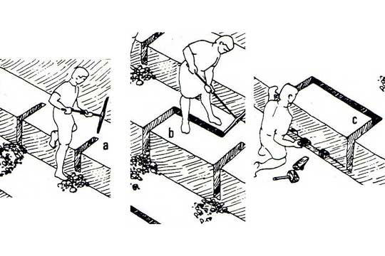 locuon schema carriere